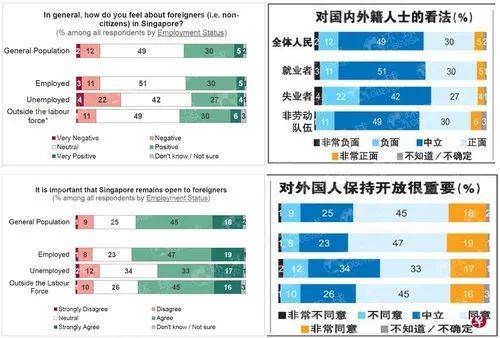 新加坡还欢迎海外人士就业吗