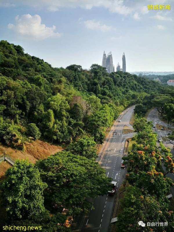 疫情过后，去新加坡不可错过的16个体验