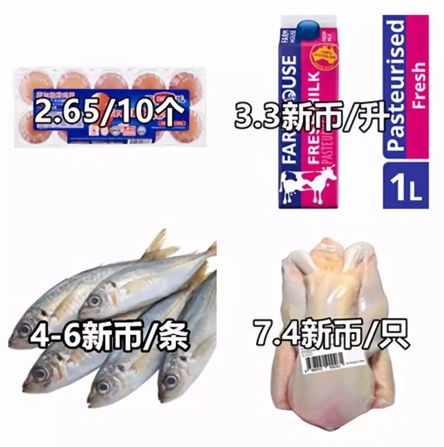 9d361344dbd936dd482acfb37c35cd17eb44d671.jpeg