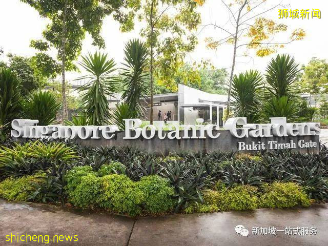 最美丽的自然风光: 新加坡植物园