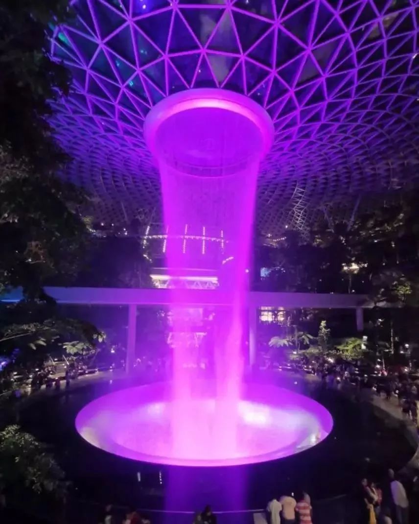 d787205bd1aac1960b4445318e62b70616036463.jpeg