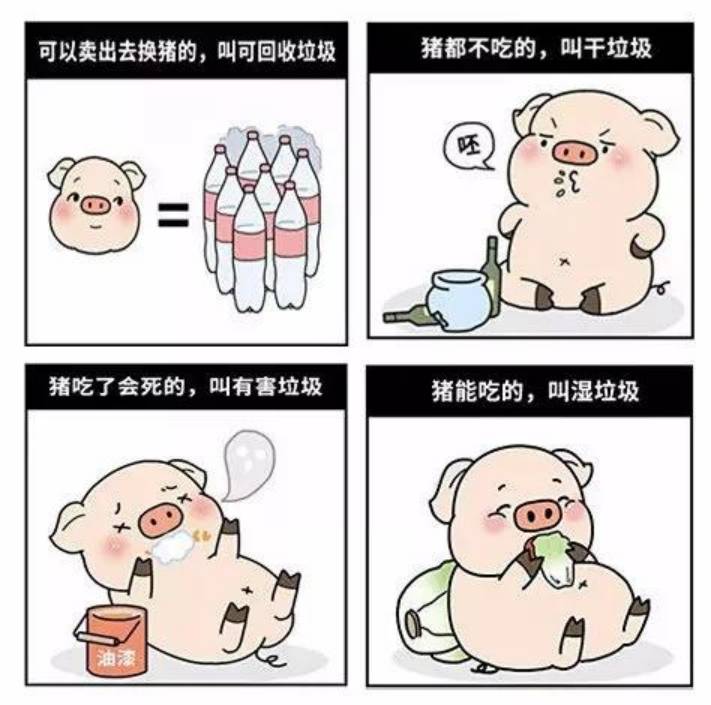 新加坡处理垃圾的那些事儿