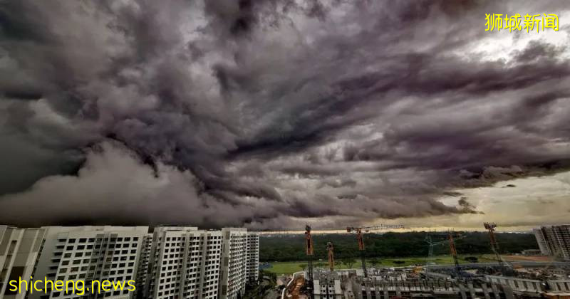 又“狂”又“野”的新加坡奇景！天气多变，生态丰富