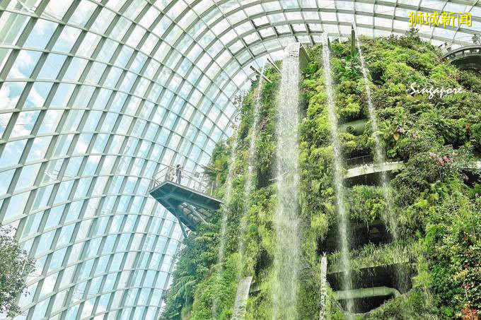 你为什么需要新加坡？旅行家、企业家、未来家来告诉你