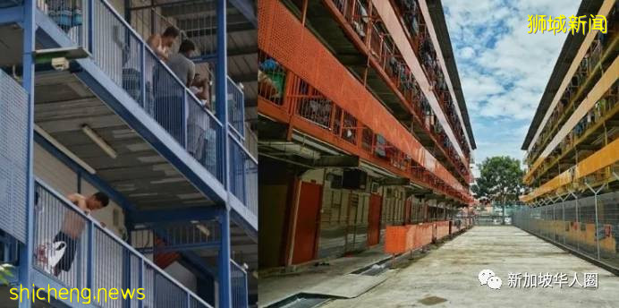 新增451例!新加坡八成的病患没传染病毒!检测污水是否带病源