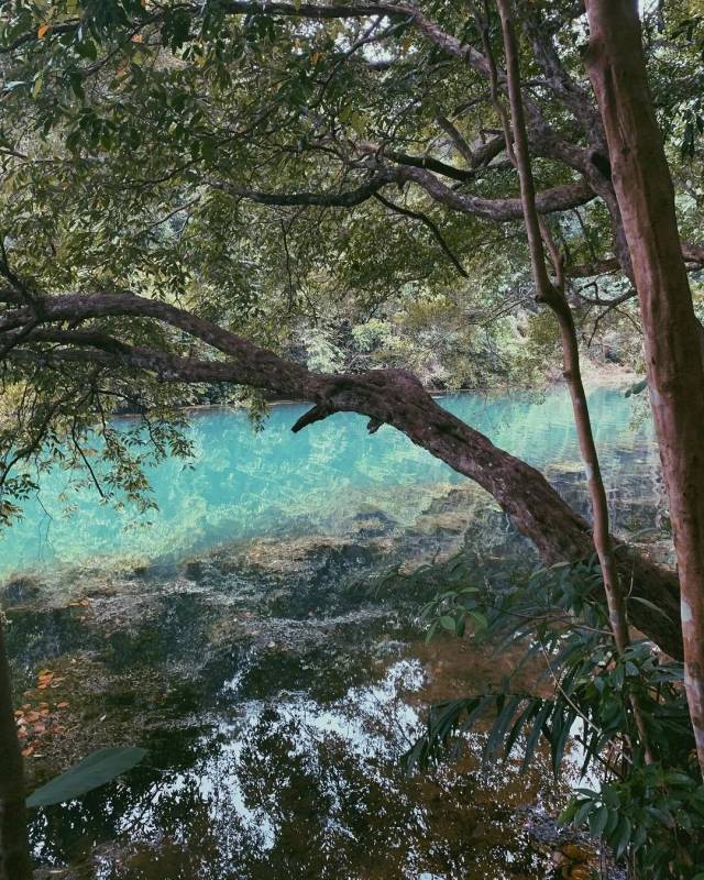 Upper Thomson精选小众Cafe，工作日放松、周末打发时间好选择