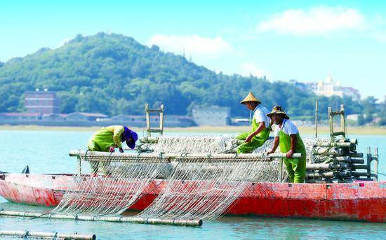 原味福建菜 ——新加坡米其林一星“莆田”来武汉啦