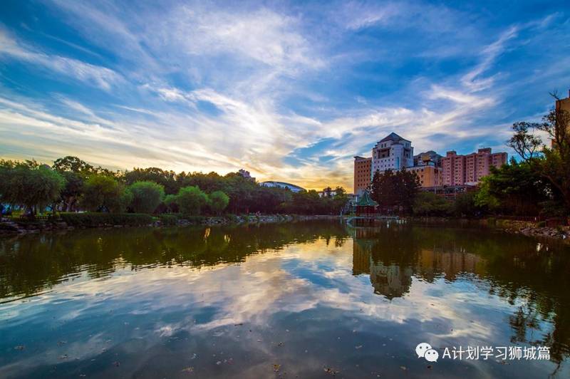 THE2021世界大学学科排名：社会科学