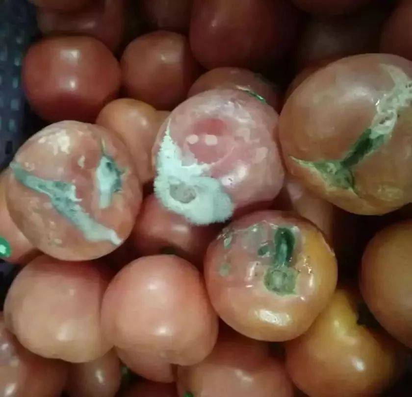 没想到吧，新加坡的国际学校竟然比中国的还便宜