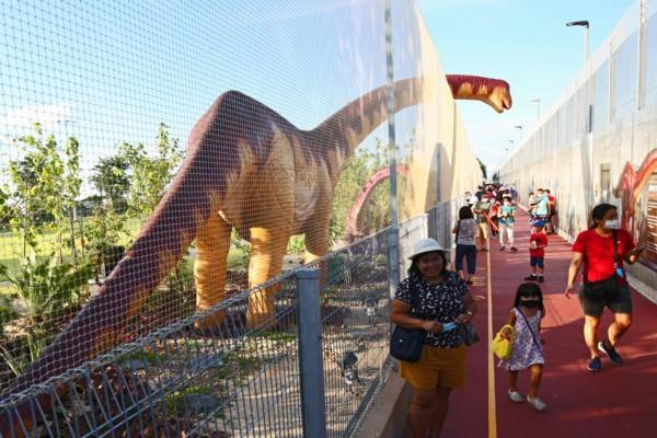 【女佣看恐龙被高球击倒】樟宜侏罗纪步道 装2米高安全网避横祸