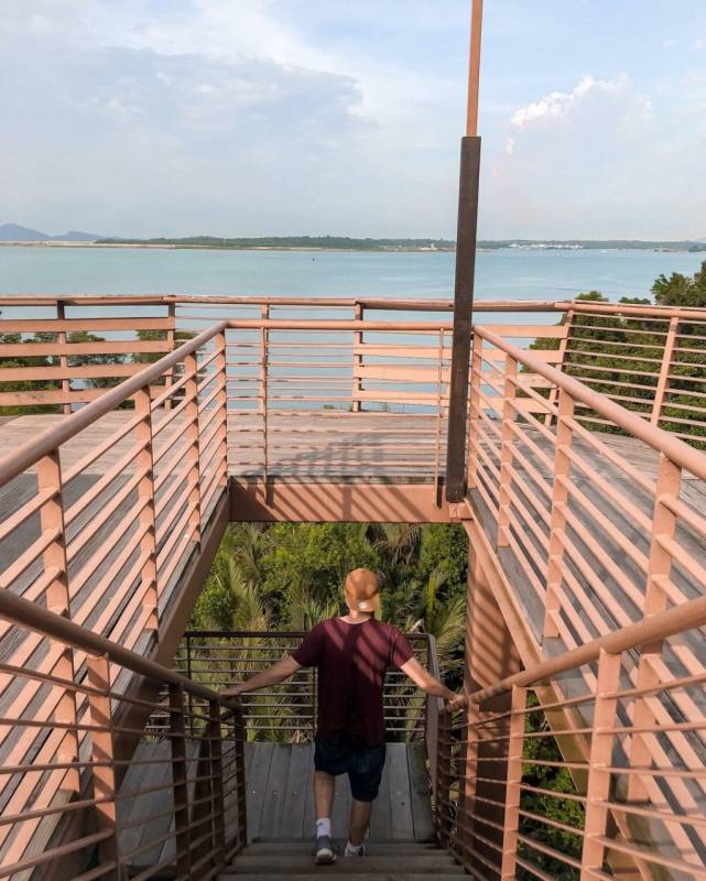 新加坡多元化自然生态！Chek Jawa Wetlands 岛上湿地公园🏝 徒步探索、沿海浮桥邂逅美景