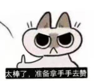 新加坡最全猫咖合集