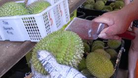 新加坡榴梿全攻略！实拍挑战芥末和烧烤榴梿！太刺激了