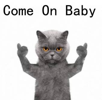 新加坡公司纳税申报流程