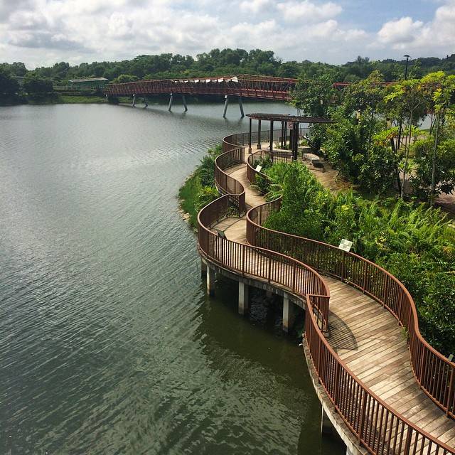 新加坡最美跑步路线 👣 汗如雨下包你纾解压力，跑出属于你的风景线✨