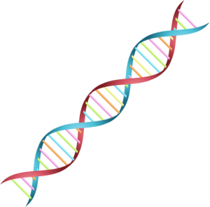 dna-helix.png