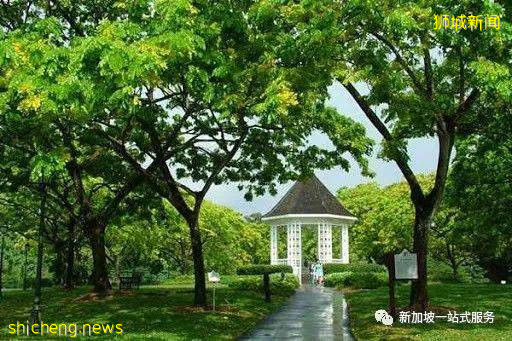 最美丽的自然风光: 新加坡植物园