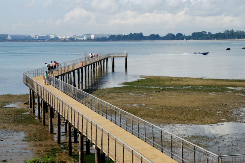 20190301-Pulau Ubin ChekJawa03.jpg