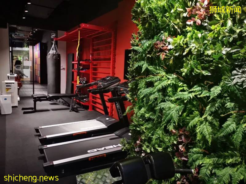 疫情之后，中国学生最佳留学目的地可能是这里