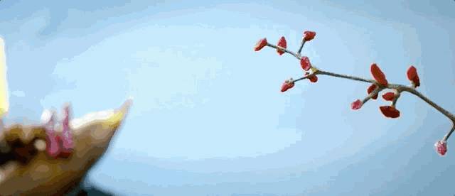 厕所协会会长？！临床性学家？！美人鱼？新加坡这些职业太奇葩啦