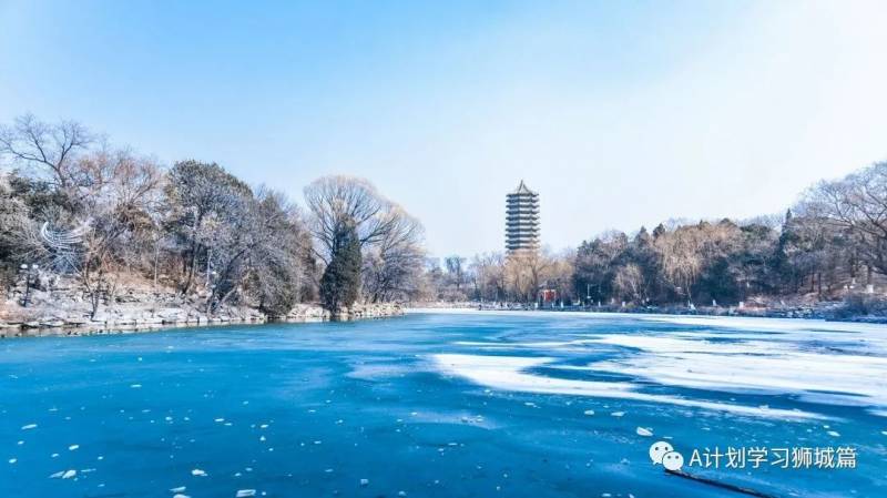 THE2021世界大学学科排名：生命科学