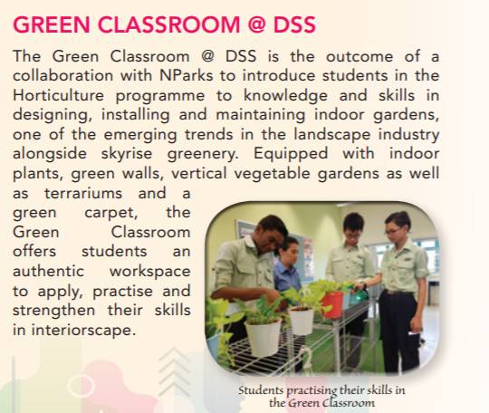 【新加坡留学】这里的特殊教育和你想像的不一样