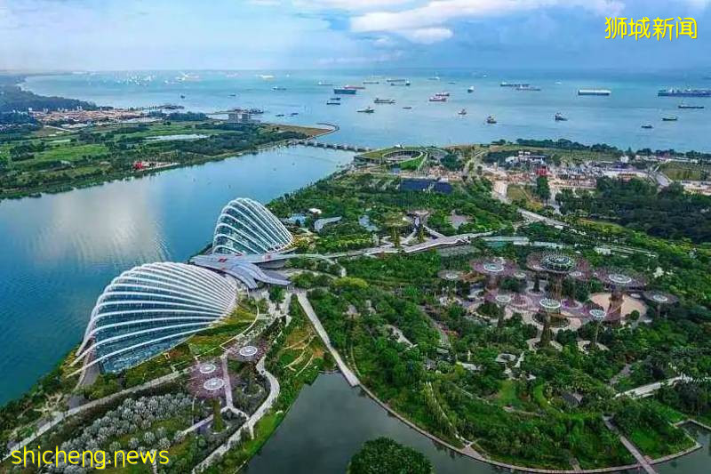 留学、投资、旅游、移民...新冠疫情后，新加坡或将大受欢迎