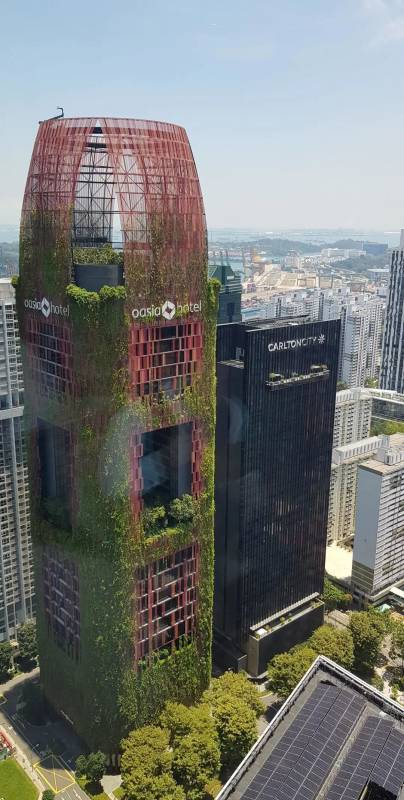 开扒 《西部世界3》《摘金奇缘》狮城取景点大揭秘，你都发现了吗