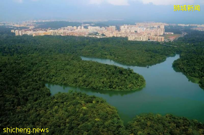 15公里步道、红树林、亲子游…新加坡要建超大自然公园，看看是不是就在你家附近