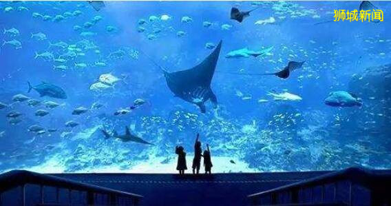 新加坡海洋馆今天开馆，第二阶段解封居然已经过去半个月了