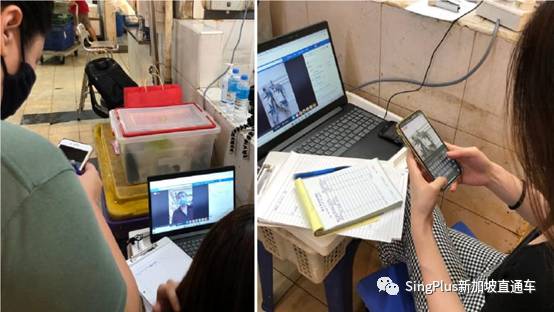 风光与辛酸，谁会是新加坡的“李佳琦”