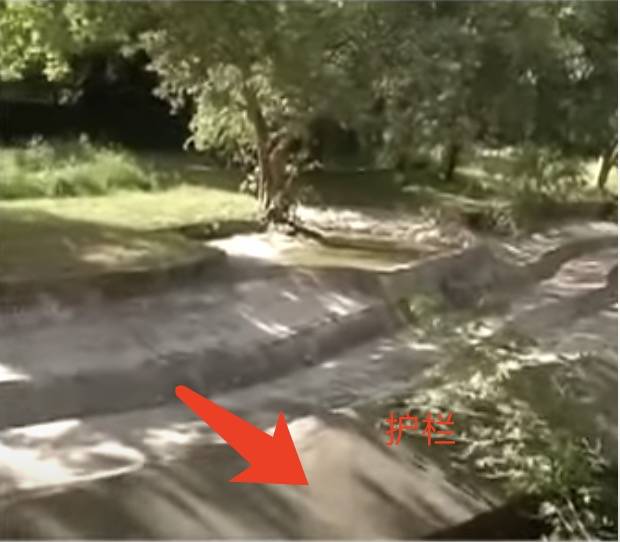 残忍！上海动物园熊吃人，亲眼目睹！新加坡也发生过类似案件！印度最惨