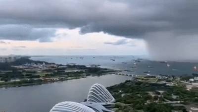 新加坡多变的天气，丰富的生态环境