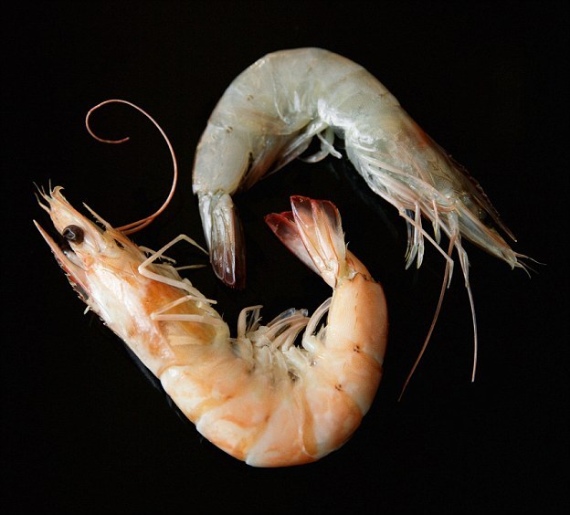 20200106-prawn comparison.jpg