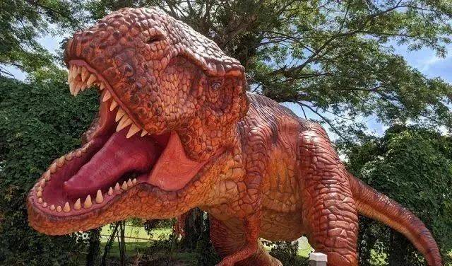 养娃圣地——新加坡周末遛娃好去处之上篇