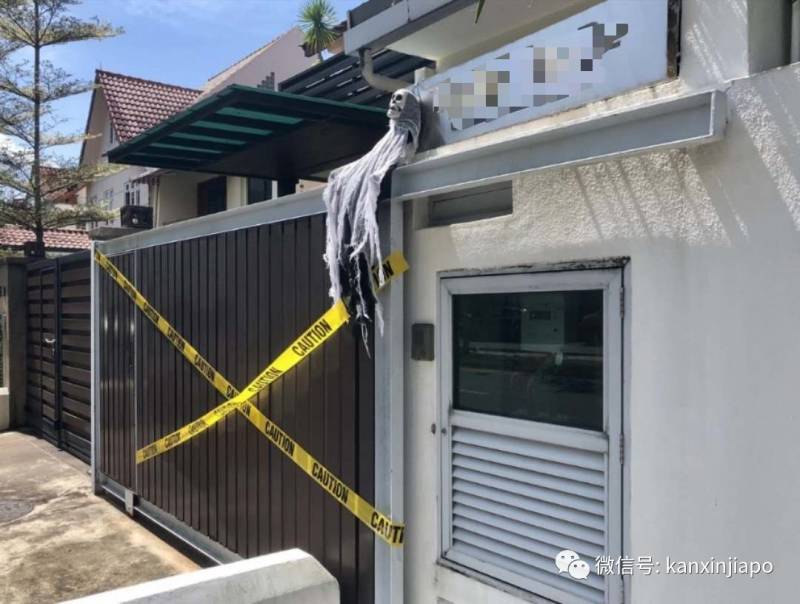 新加坡这条街，前晚出现大量蜘蛛和骷颅头