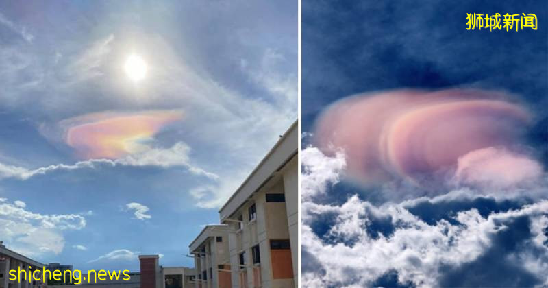 又“狂”又“野”的新加坡奇景！天气多变，生态丰富