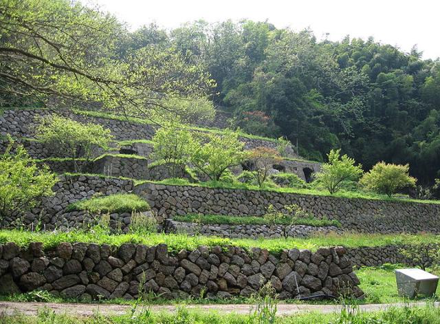 日本古代的“石高制”是什么？日本“一石”大概是现代的多少斤？