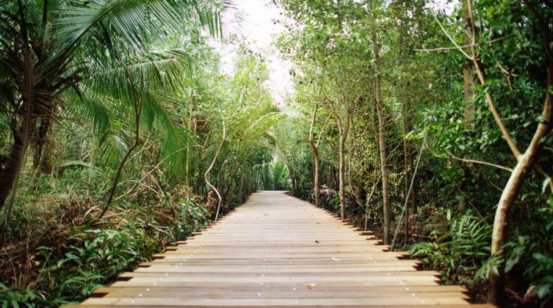 Sungei Buloh湿地保护区🌳 走进湿地，聆听大自然的声音🍃 徒步路线攻略、特点介绍、必踩打卡点