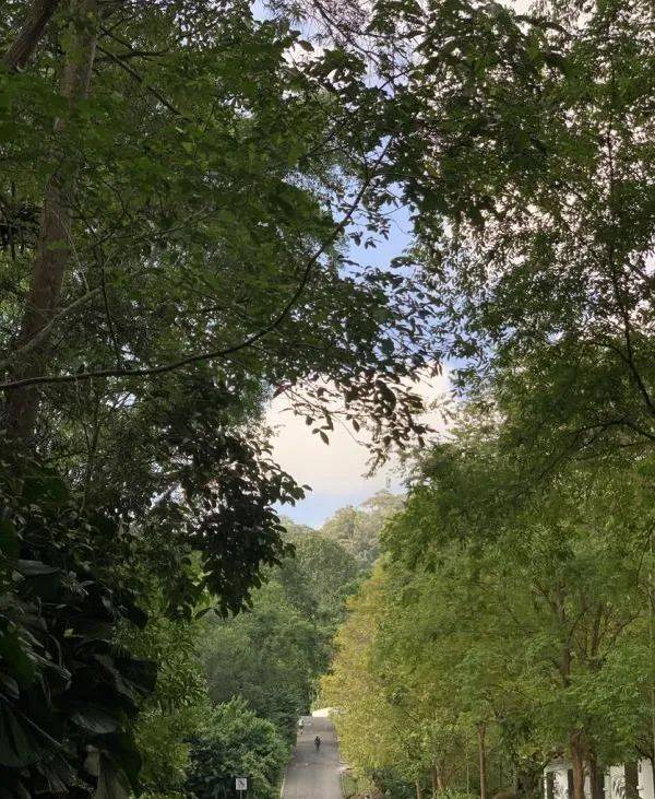 新加坡虽小，风景却不少，这些自然公园你听过吗