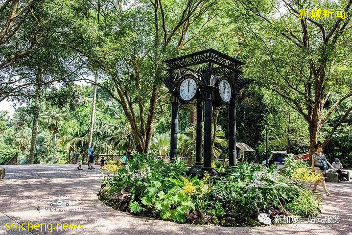 最美丽的自然风光: 新加坡植物园