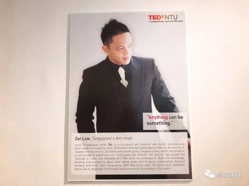 亚洲第一的蚂蚁博物馆居然在新加坡