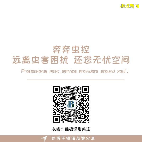 新加坡暴发史上最严重登革热疫情，我们如何预防