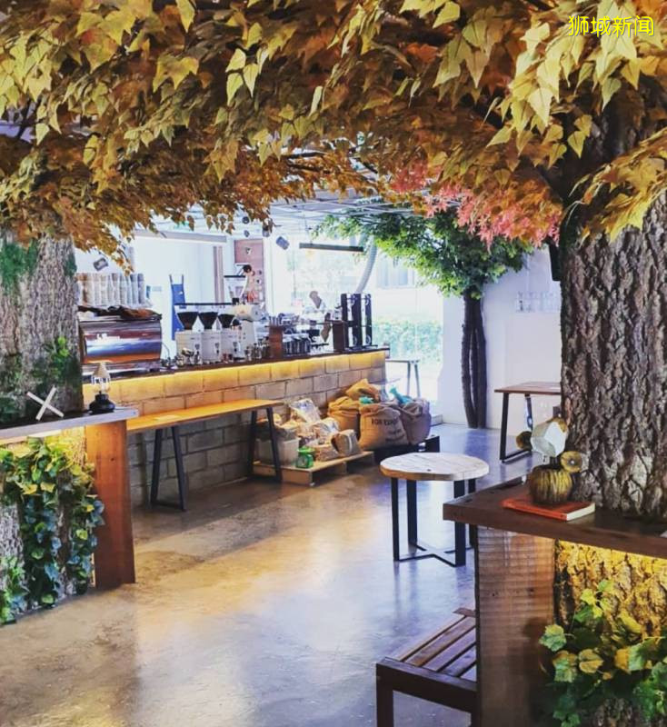 哇,又发现了这5家宝藏cafe,周末有好去处咯