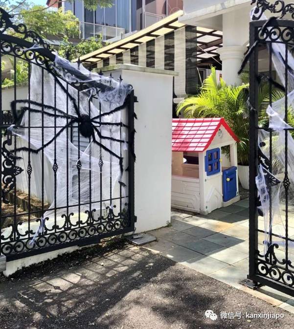 新加坡这条街，前晚出现大量蜘蛛和骷颅头