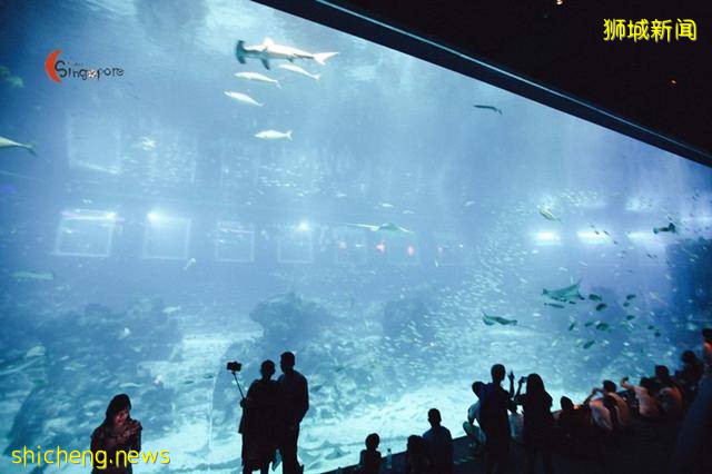 全球最大海洋馆到底有多好玩