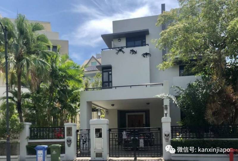 新加坡这条街，前晚出现大量蜘蛛和骷颅头