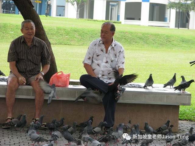 新加坡的公积金制连续12年获评为亚洲最佳，新加坡养老到底如何