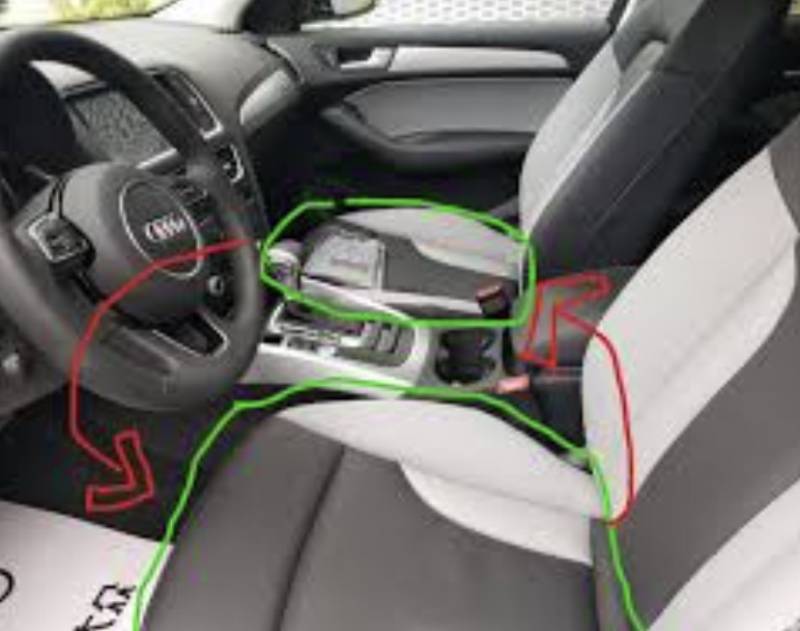 残忍！上海动物园熊吃人，亲眼目睹！新加坡也发生过类似案件！印度最惨