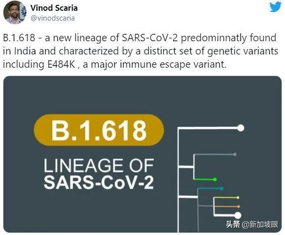 印度出现“三重变异”病毒株；新加坡客工宿舍再现感染群